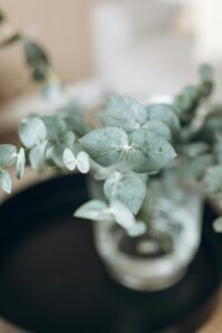 A soft focus image of eucalyptus branches in a clear glass vase on a dark surface.