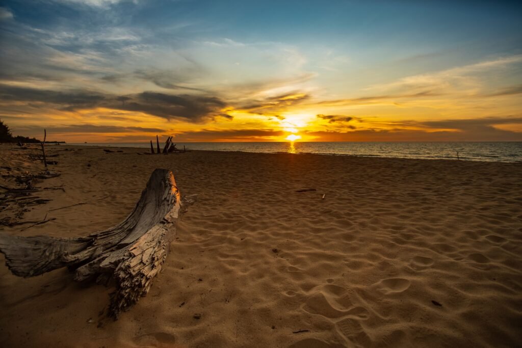 Turn Your Face Towards The Sun Capture of a serene beach sunset with a driftwood centerpiece and vibrant sky.